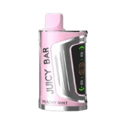 Juicy Bar Vape 25000 puffs